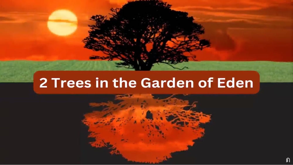 Two Trees in the Garden of Eden